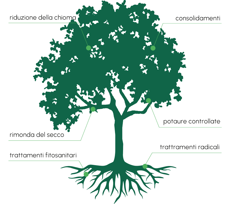Albero-icon-800-scritte