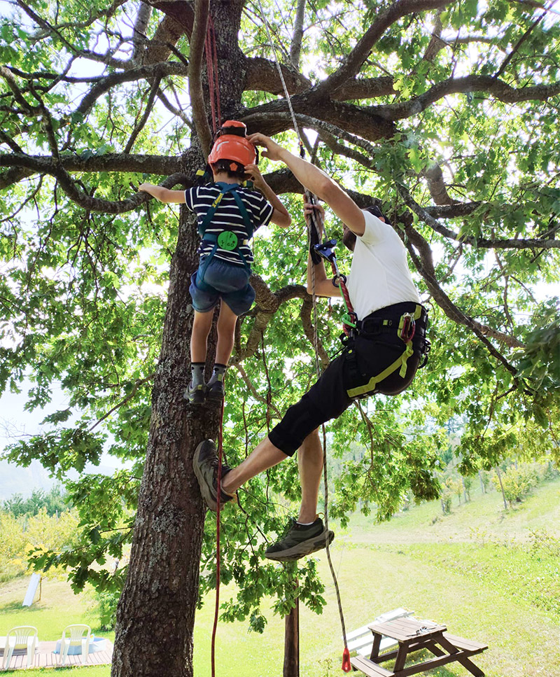tree-experience-achi-calata